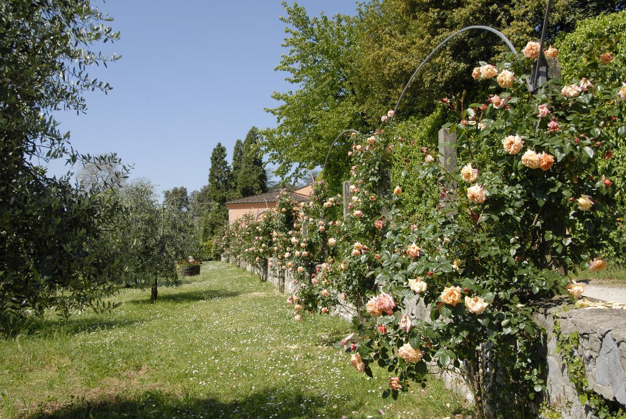 La Chiusa Di Nanni Piaggiori Buitenkant foto